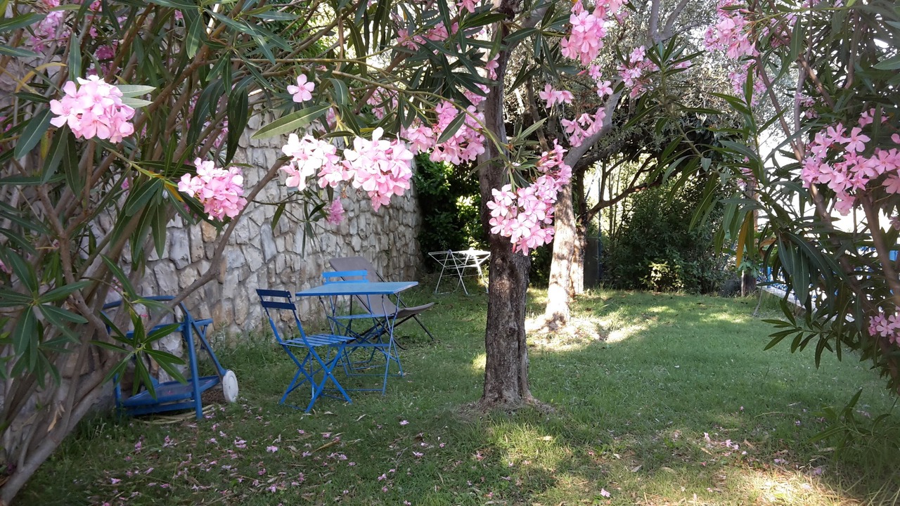 Photo of Outdoor in Manosque