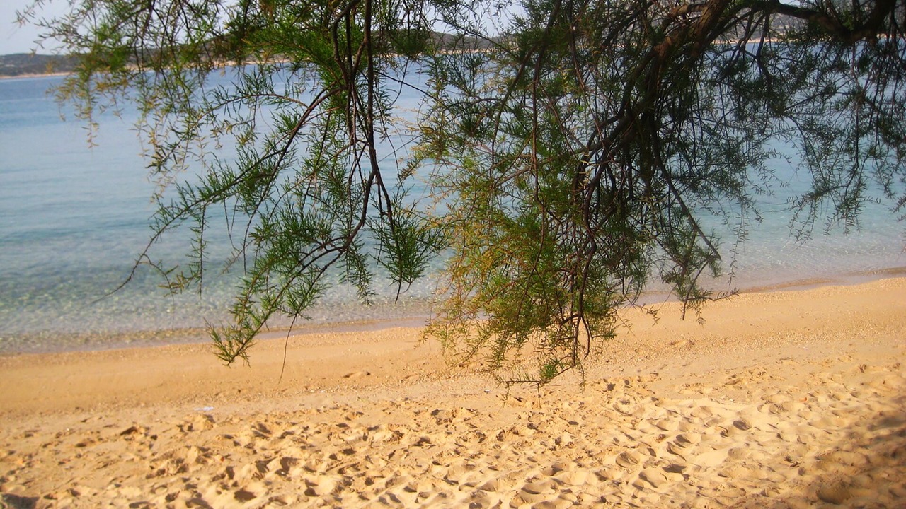 Photo of Others in Prvic Luka