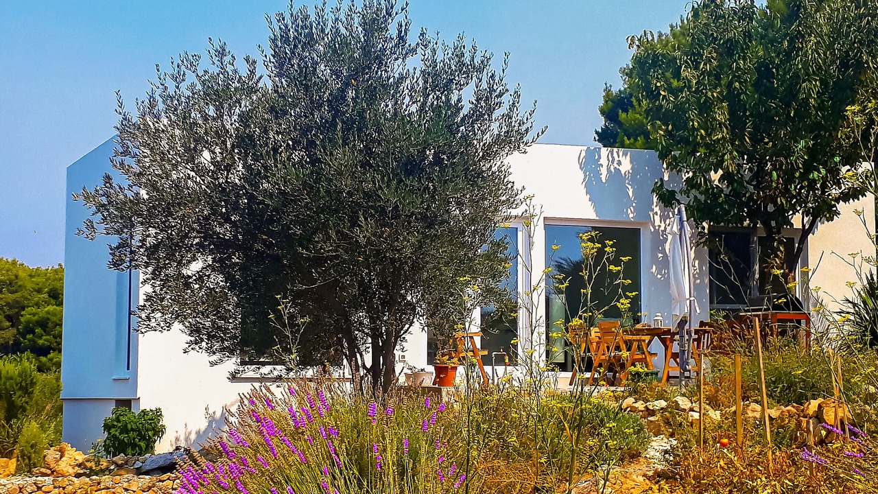Photo of Outdoor in Prvic Luka