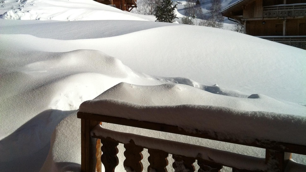 Photo of Outdoor in Bergers