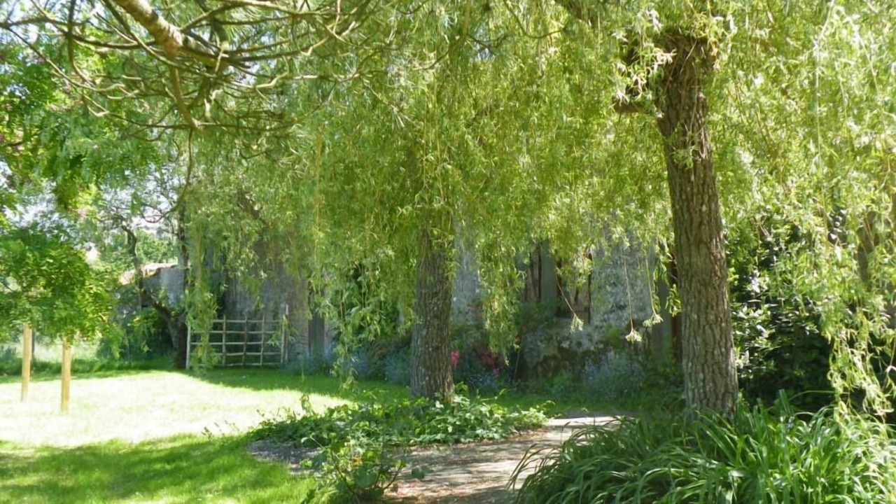 Photo of Outdoor in Chateau-Guibert