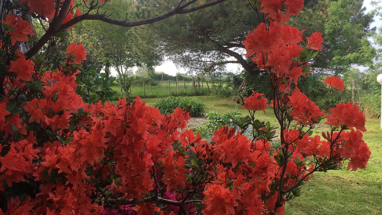 Photo of Outdoor in Chateau-Guibert
