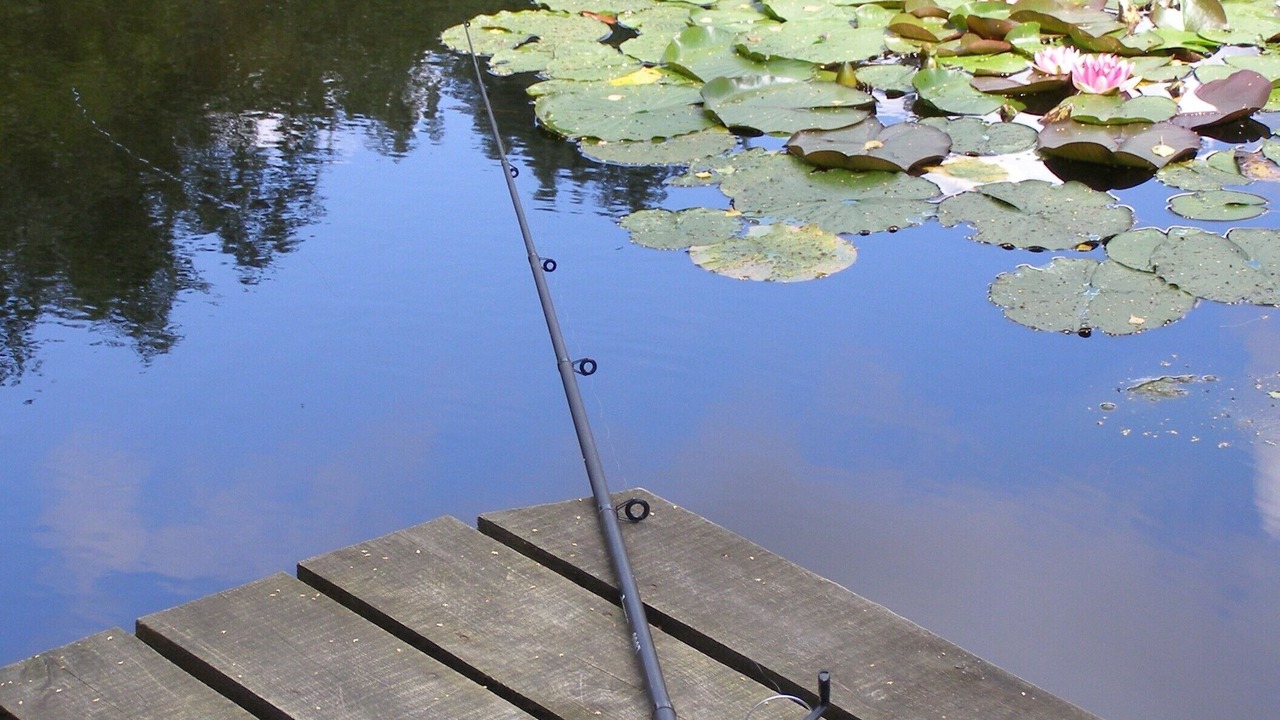 Photo of Others in South Cerney