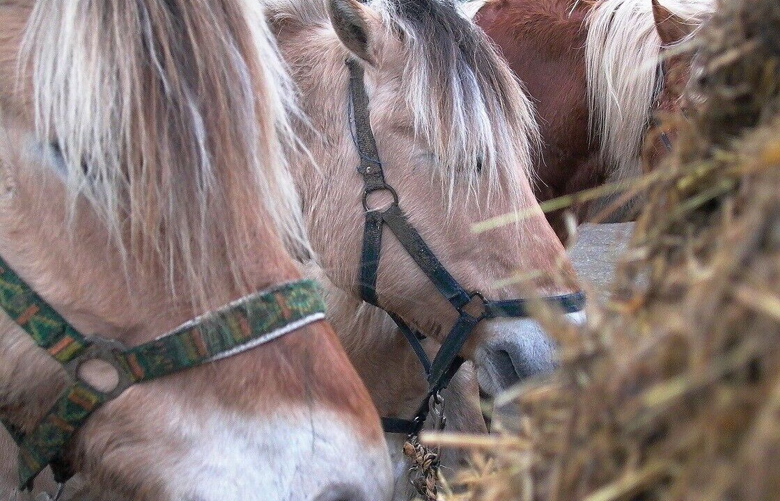 Photo of Others in South Cerney