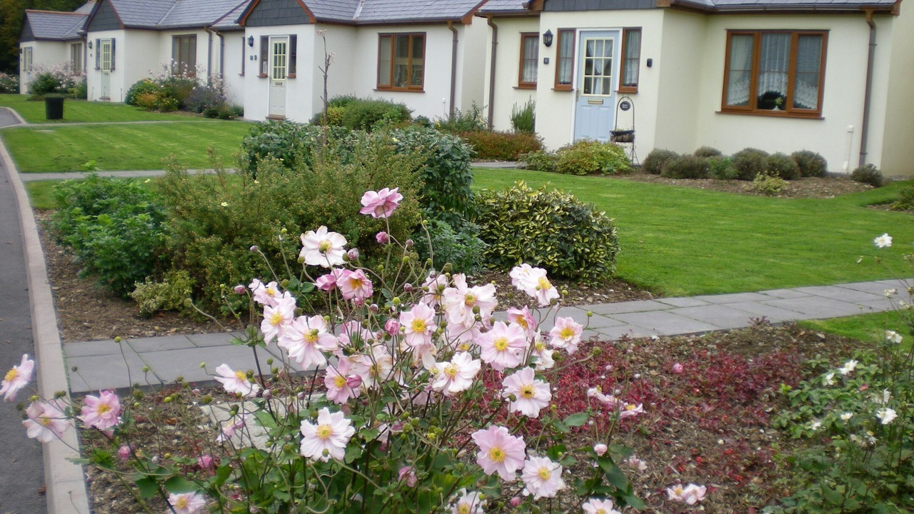 Photo of Others in Davidstow