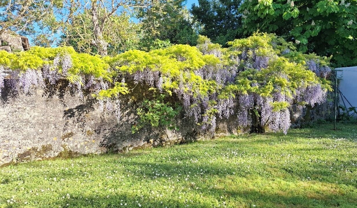 Photo of Outdoor in Les Casses