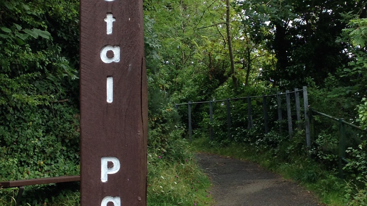 Photo of Others in Aberdour