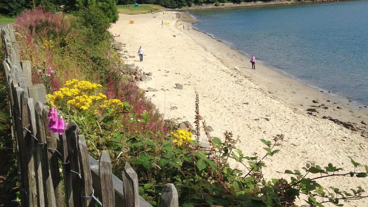 Photo of Others in Aberdour