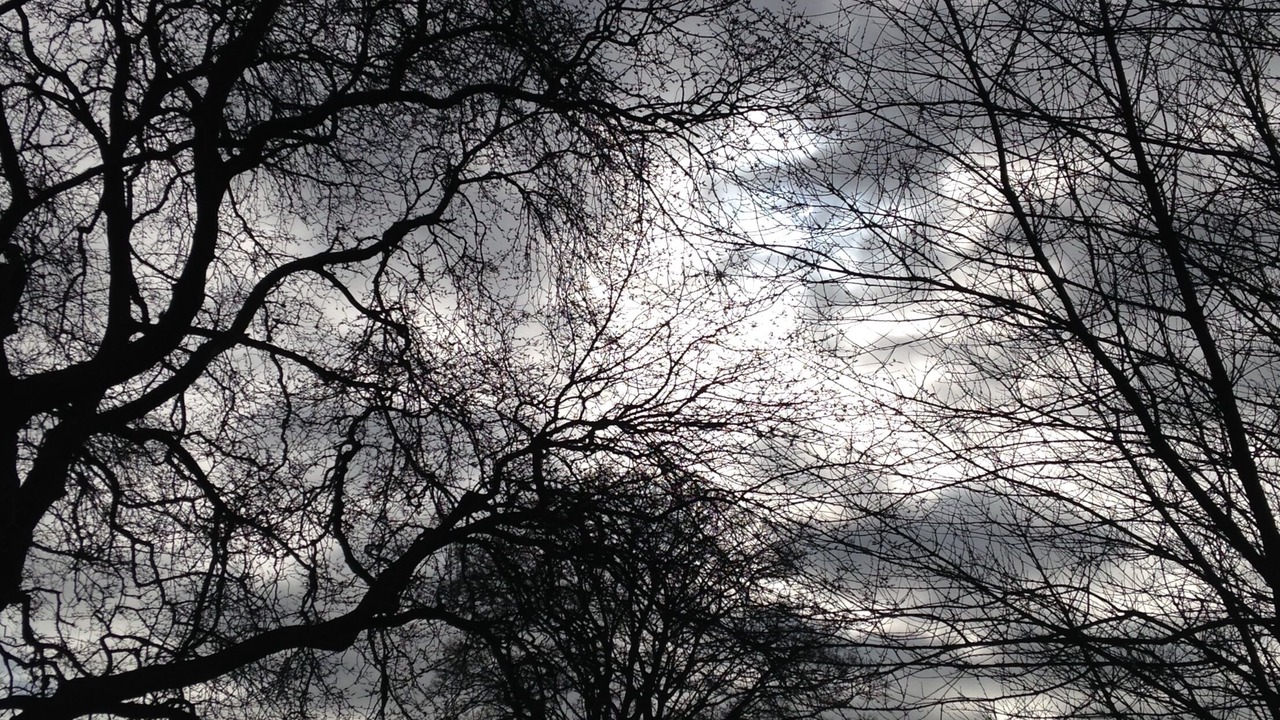 Photo of Others in Aberdour