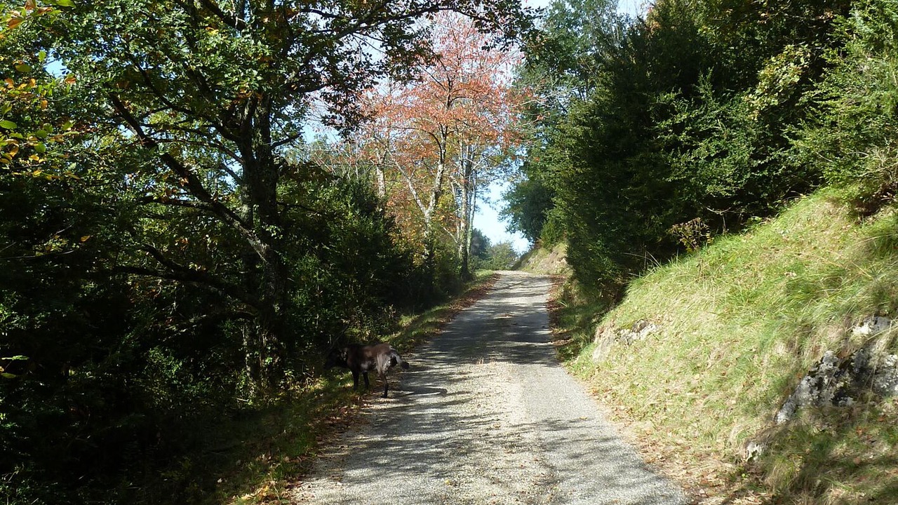 Photo of Outdoor in Larbont