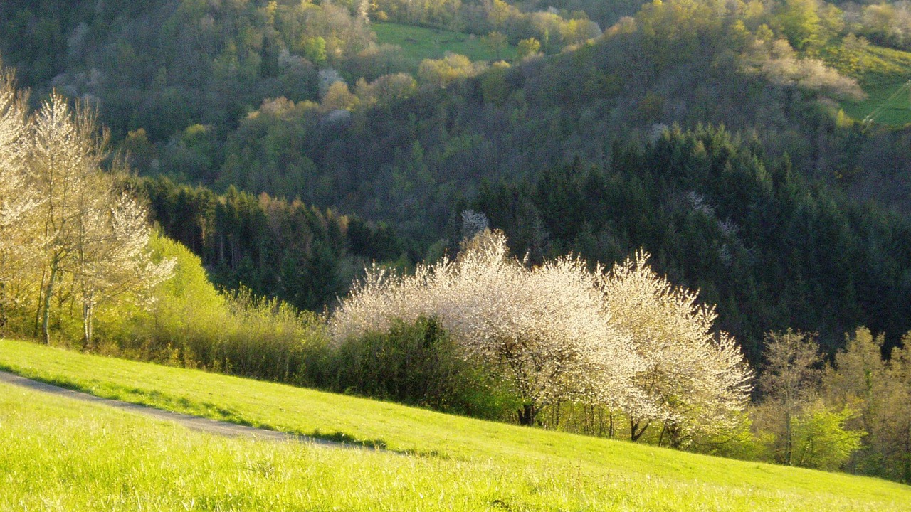 Photo of Outdoor in Larbont
