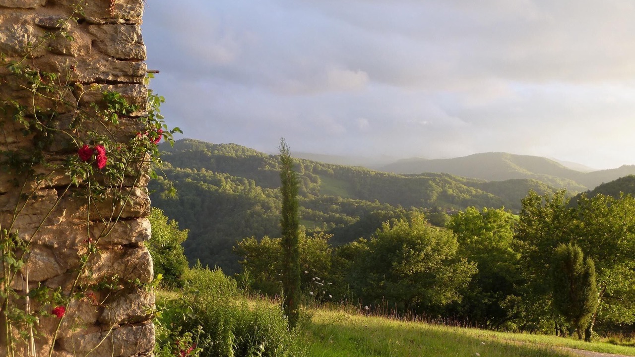 Photo of Outdoor in Larbont