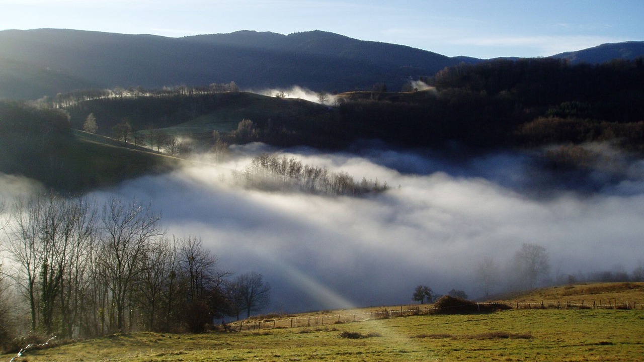 Photo of Outdoor in Larbont