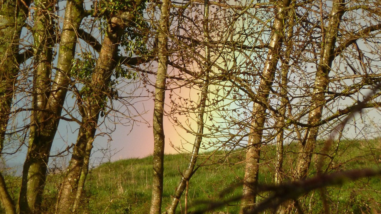 Photo of Outdoor in Larbont