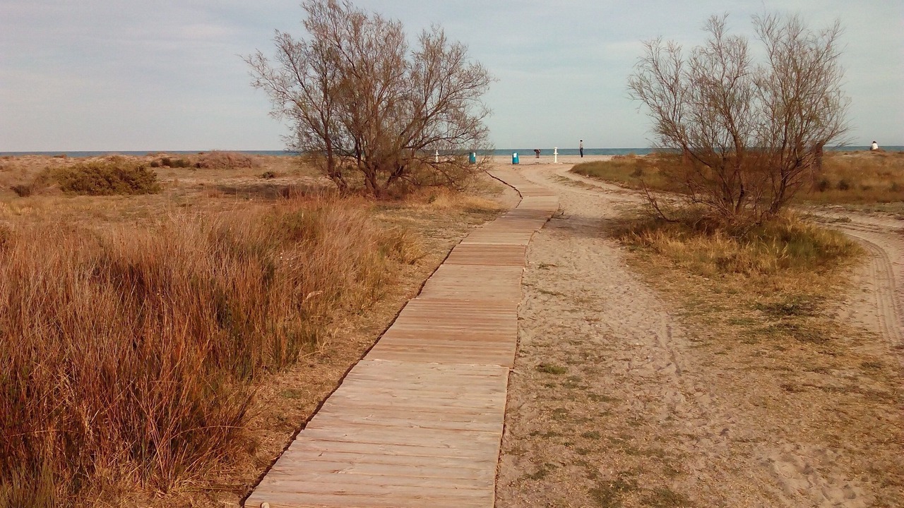 Photo of Others in Playa de Almarda