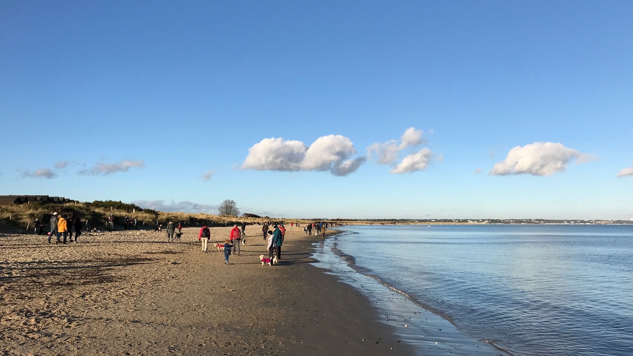 Photo of Others in Studland