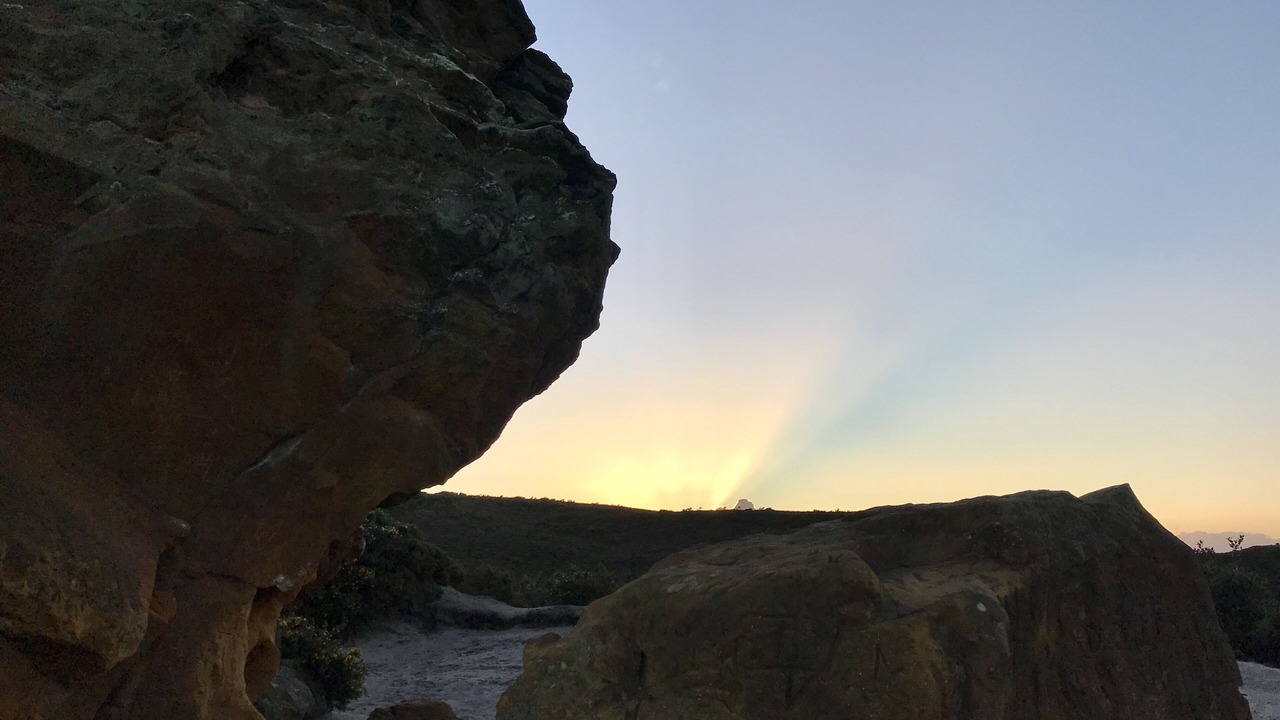 Photo of Others in Studland