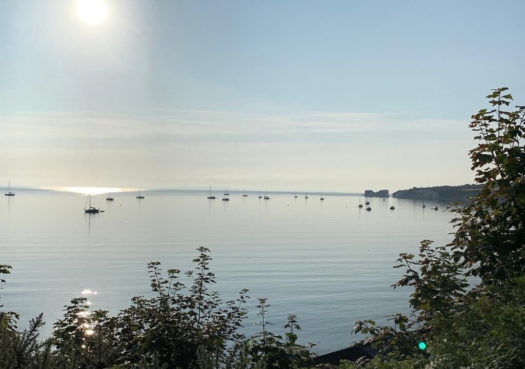 Photo of Others in Studland