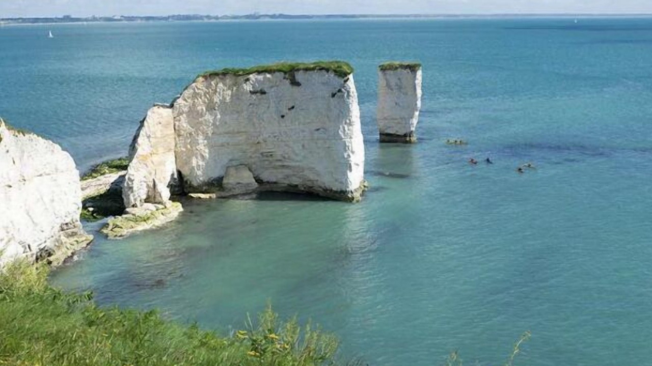Photo of Others in Studland