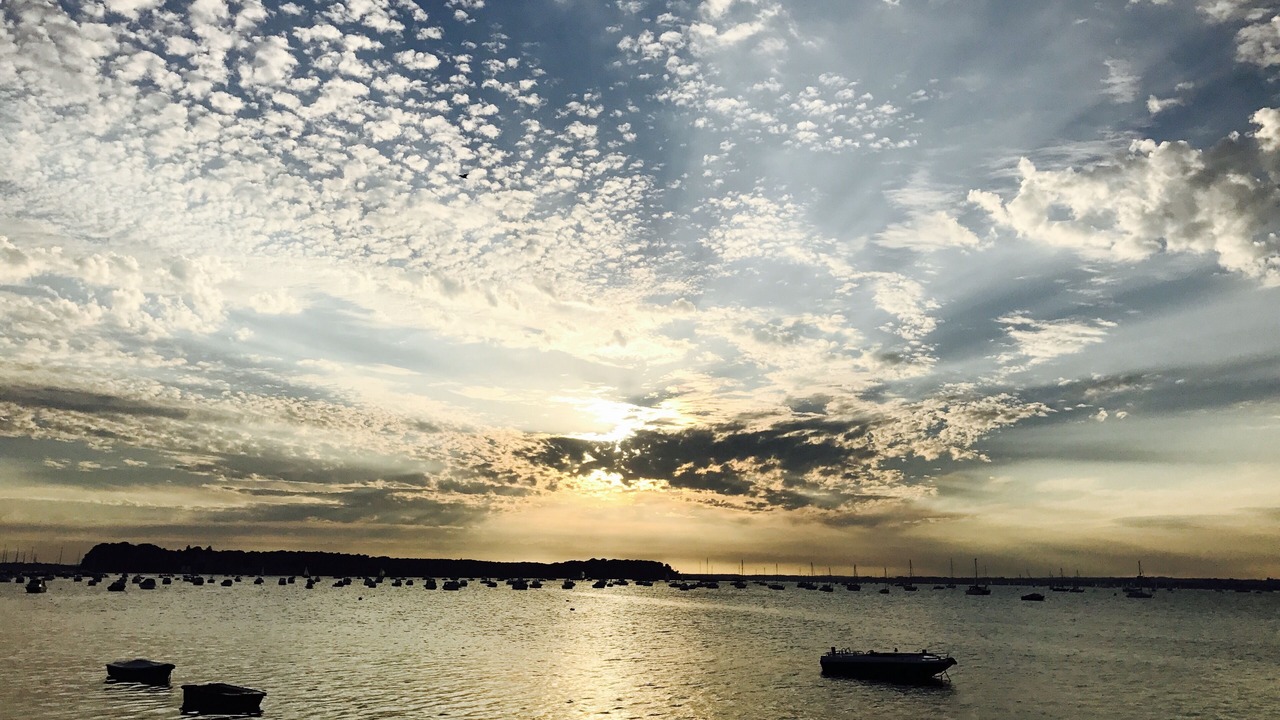 Photo of Others in Studland