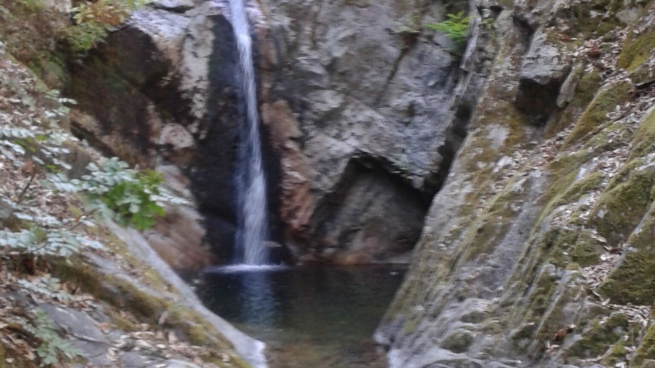 Photo of Outdoor in Ucciani