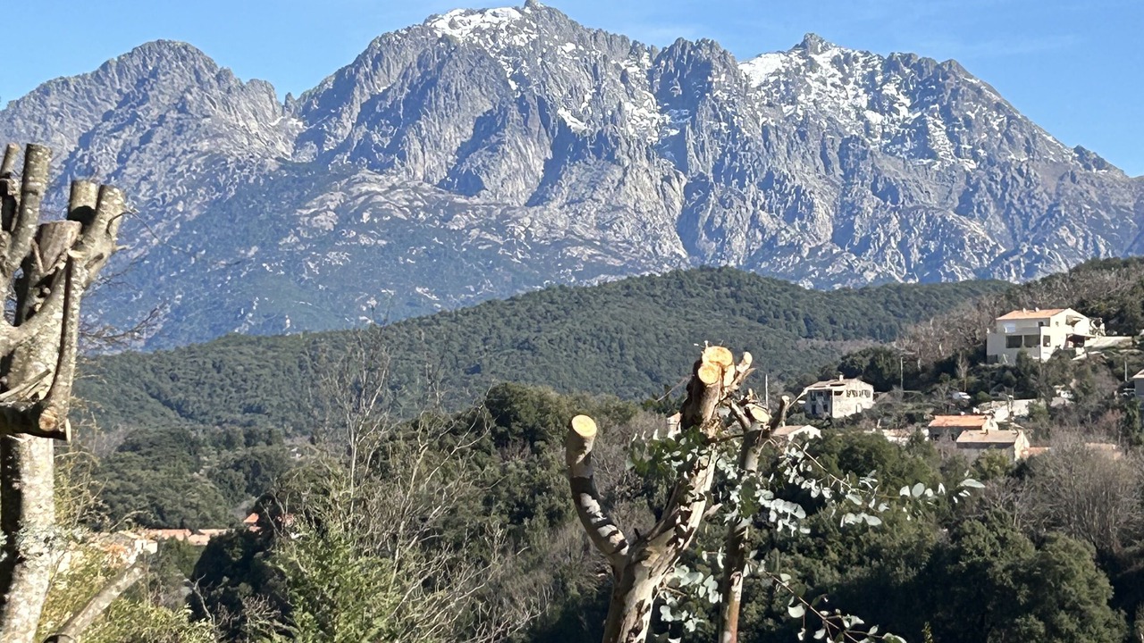 Photo of Outdoor in Ucciani