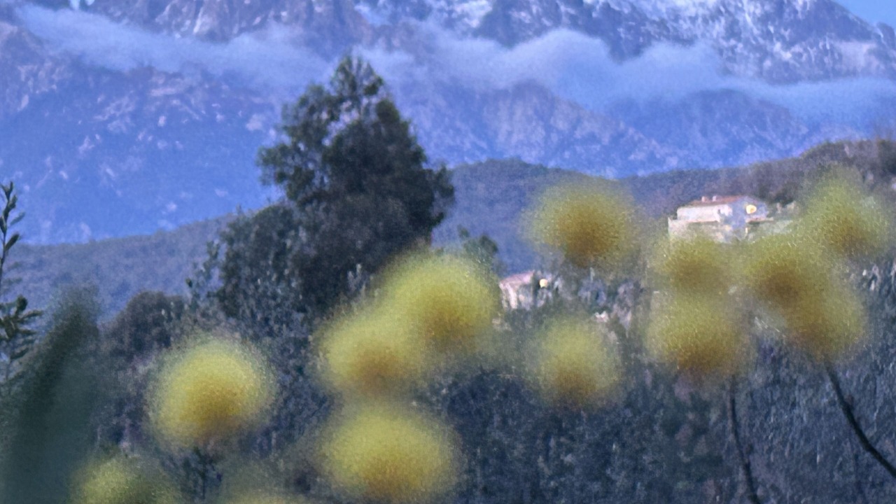 Photo of Others in Ucciani