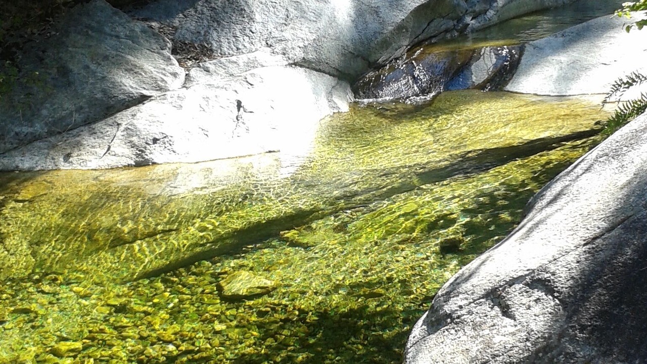 Photo of Others in Ucciani