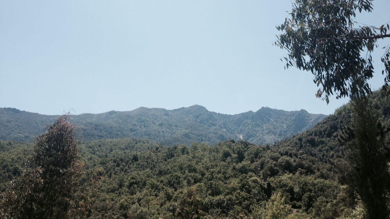 Photo of Others in Ucciani