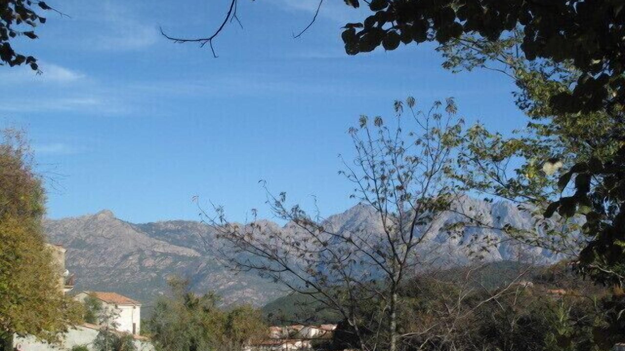 Photo of Outdoor in Ucciani