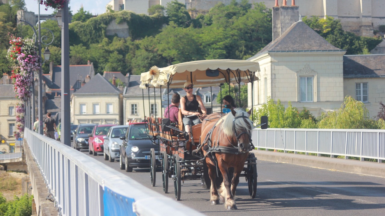 Photo of Outdoor in Chinon