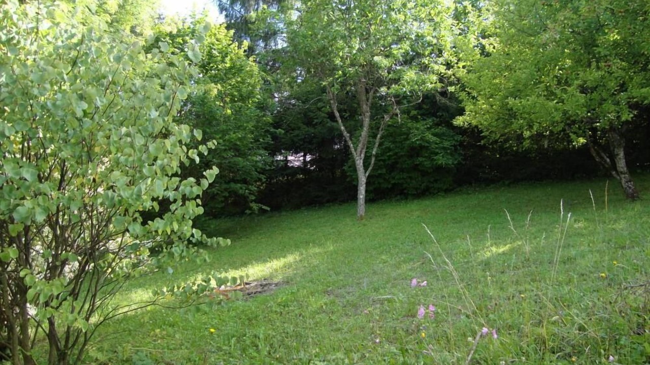Photo of Outdoor in Onnion