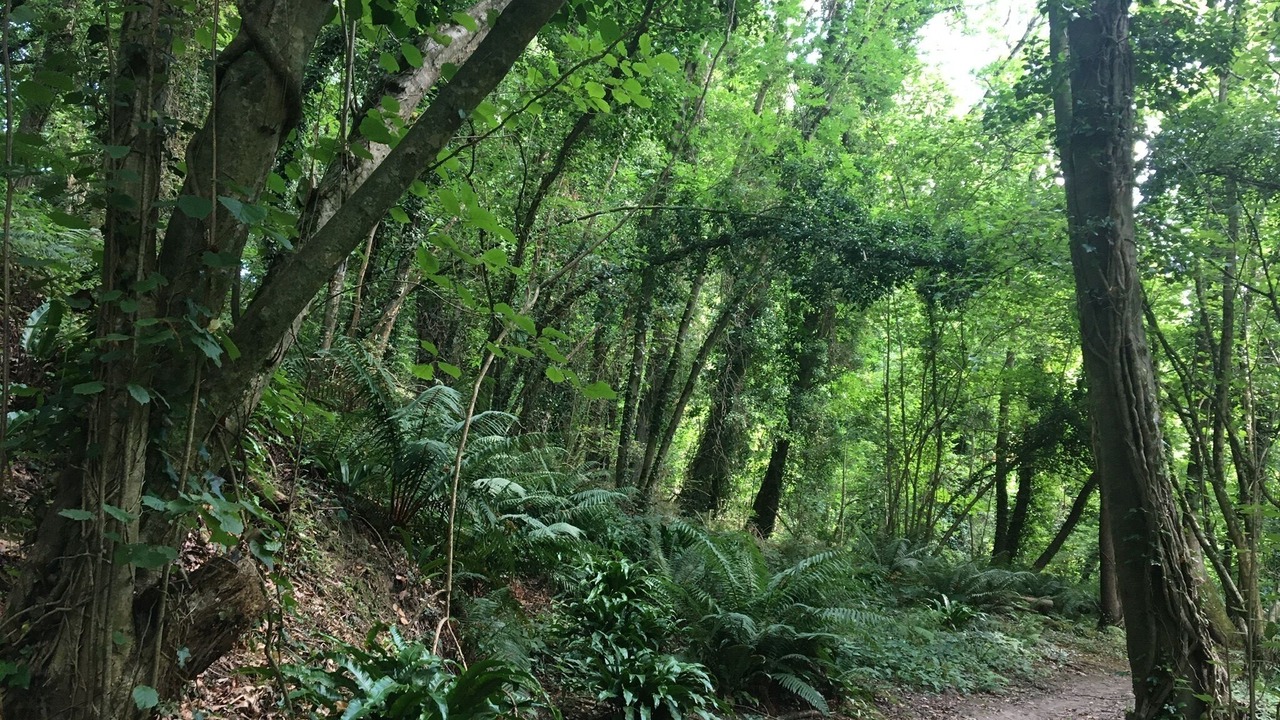 Photo of Outdoor in Saint-Cast-le-Guildo