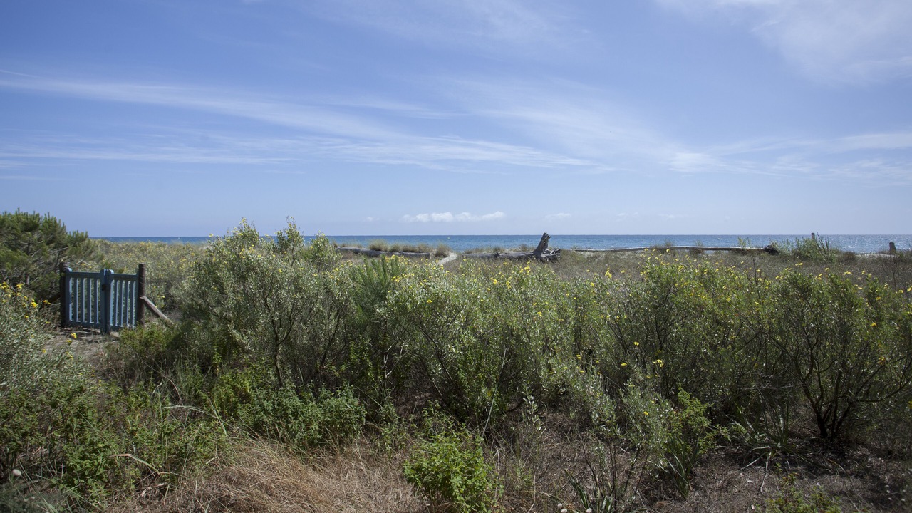 Photo of Others in Sorbo-Ocagnano