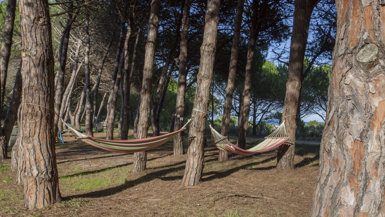 Photo of Outdoor in Sorbo-Ocagnano