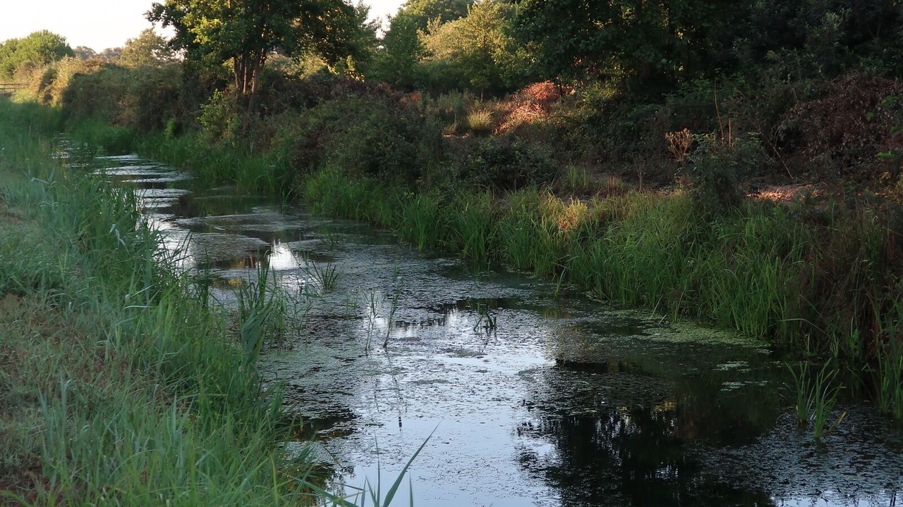 Photo of Outdoor in Sorbo-Ocagnano