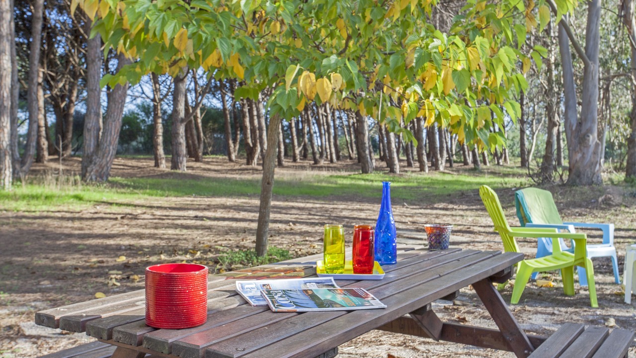Photo of Outdoor in Sorbo-Ocagnano