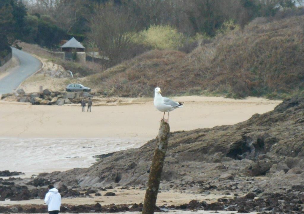 Photo of Others in Saint-Lunaire