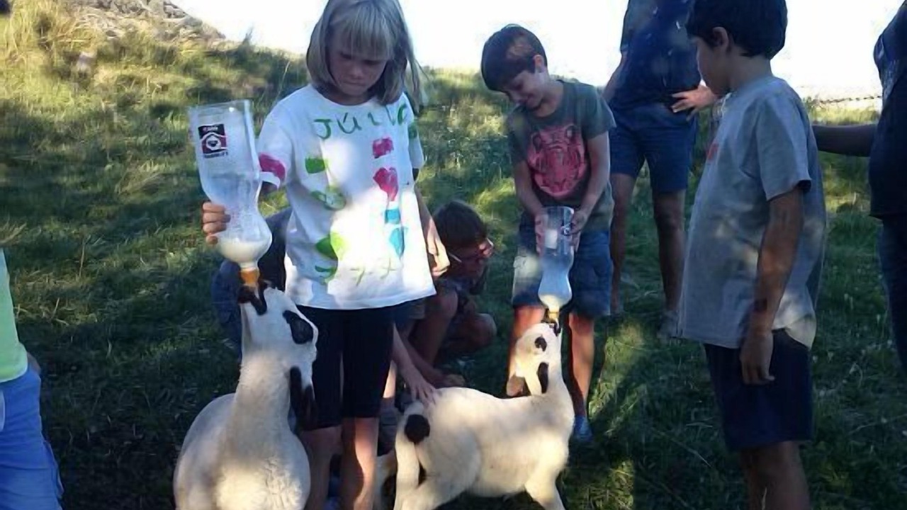Photo of Others in Valle de Lierp