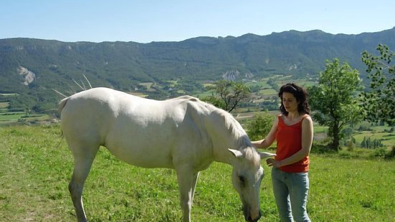 Photo of Outdoor in Valle de Lierp