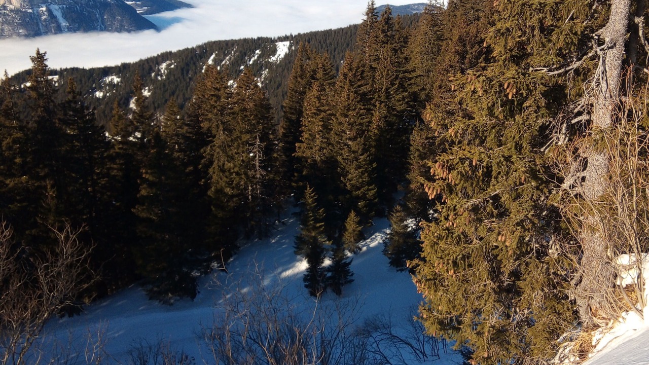 Photo of Others in Les Carroz-d'Araches