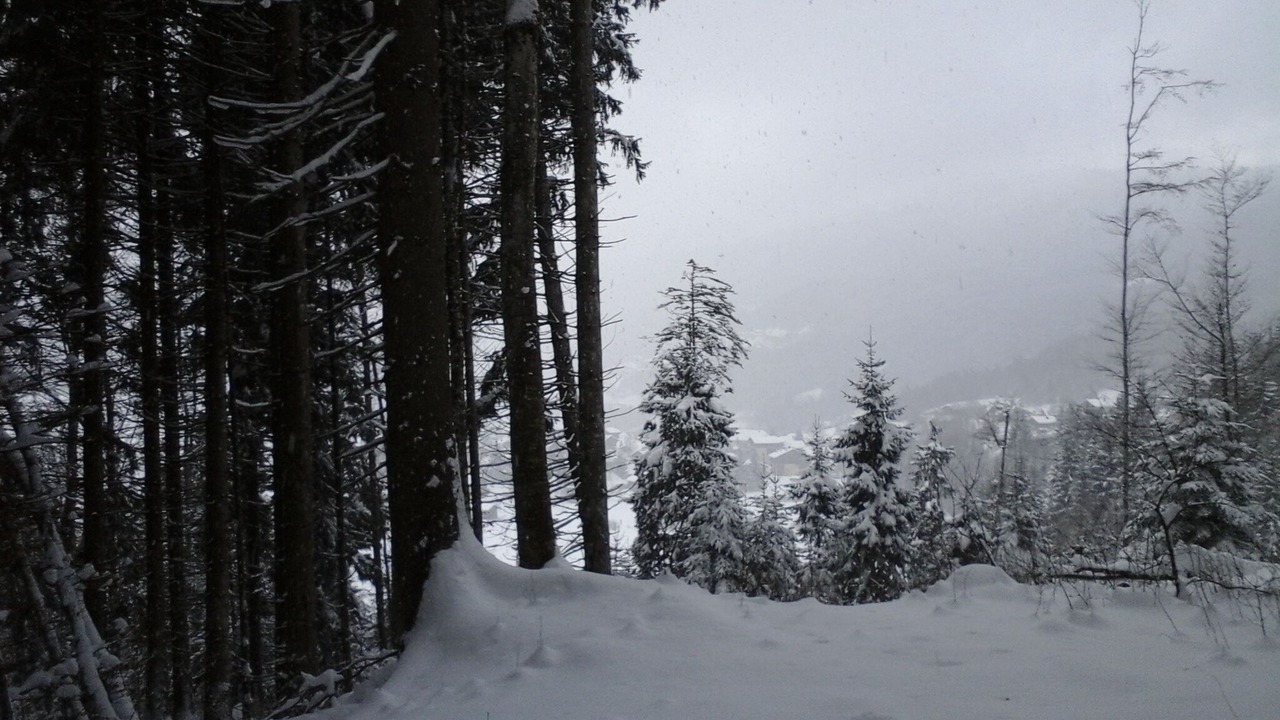 Photo of Others in Les Carroz-d'Araches