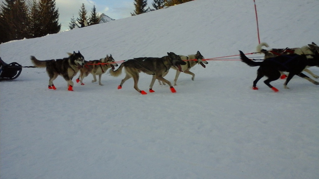 Photo of Others in Les Carroz-d'Araches