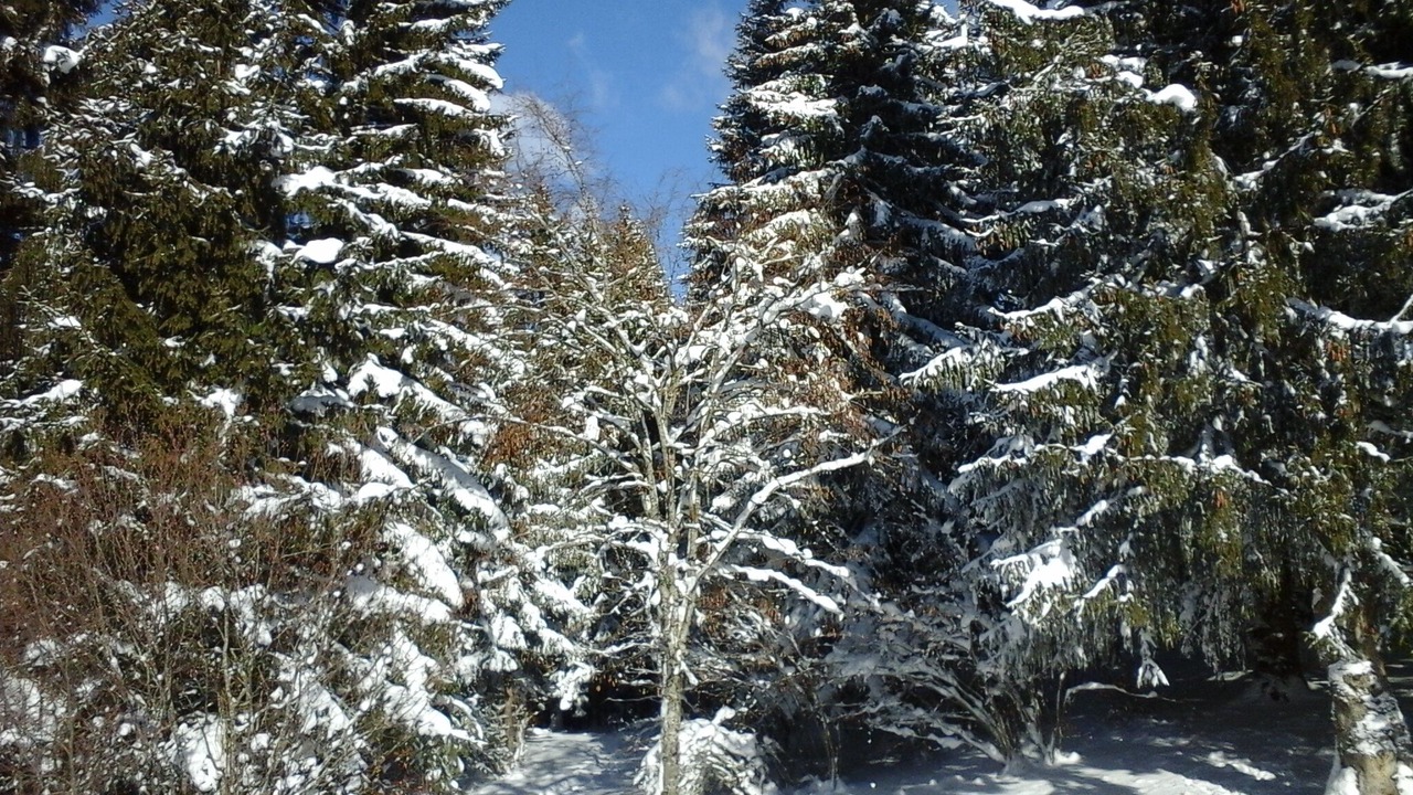 Photo of Outdoor in Les Carroz-d'Araches