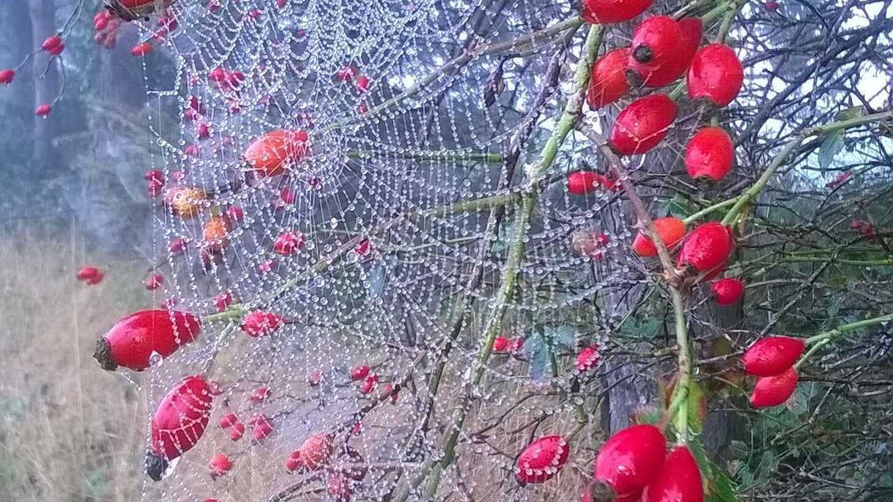 Photo of Others in Norwich