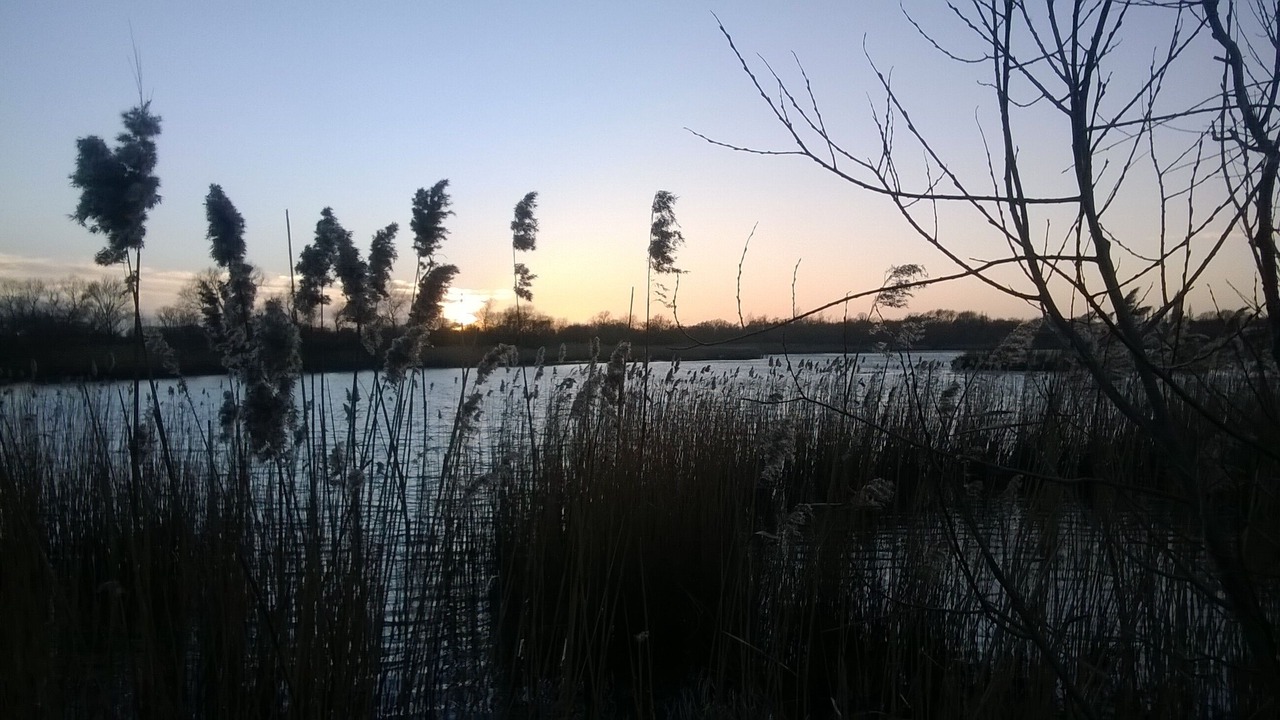 Photo of Others in Norwich