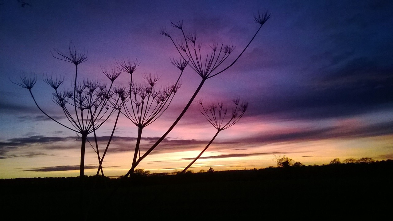 Photo of Others in Norwich