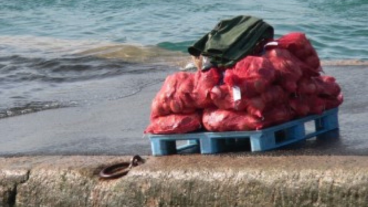 Photo of Others in Erquy