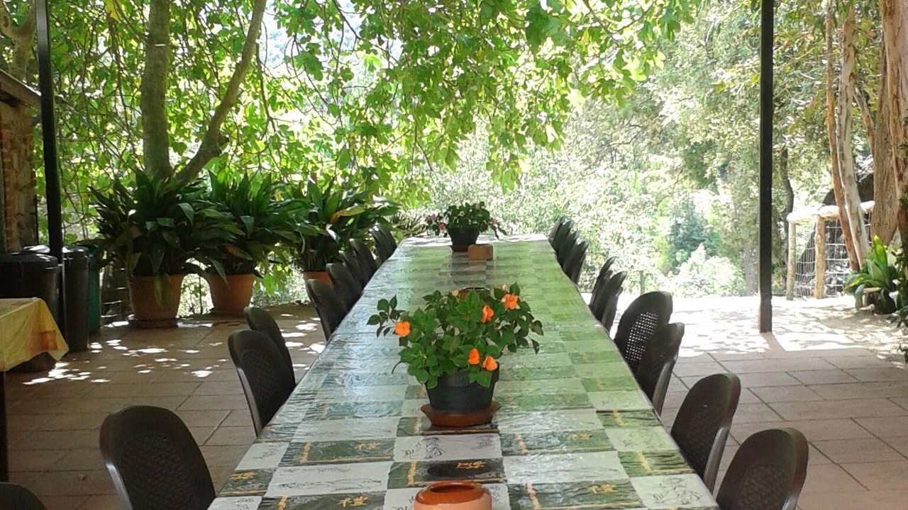 Photo of Outdoor in Arbucies