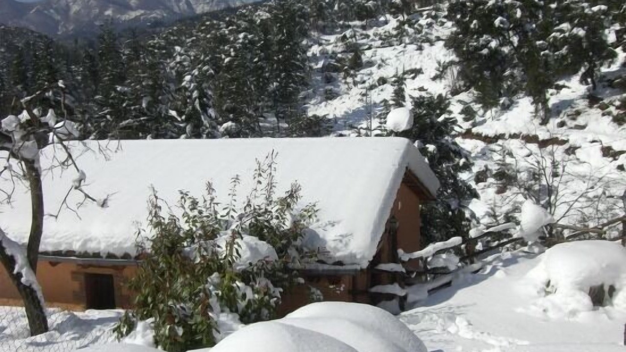 Photo of Outdoor in Arbucies